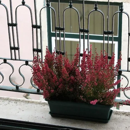 Apartamento Casa Do Oleiro *